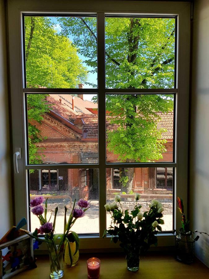 Exceptional Uzupis Bridge 3 Bedroom Apartment VNO Exterior photo