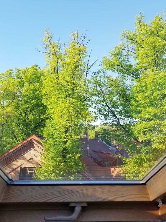 Exceptional Uzupis Bridge 3 Bedroom Apartment VNO Exterior photo